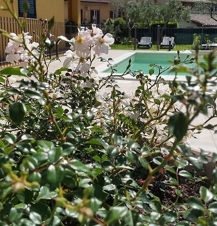 Pensjonat Residenza Cieloterra Rivotorto Zewnętrze zdjęcie
