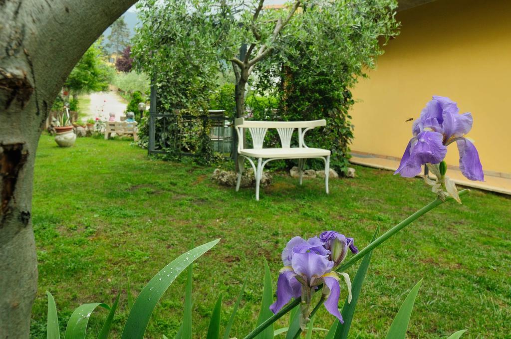 Pensjonat Residenza Cieloterra Rivotorto Zewnętrze zdjęcie